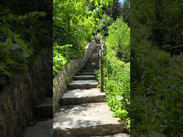 Uzungol -Trabzon - Turkiye / Stairs and Nature 1#discoverturkey #lakes #nature #trabzon