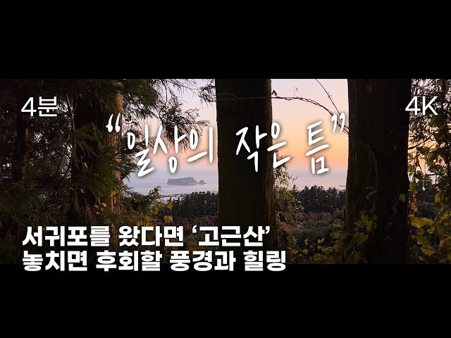 제주도 여행 l 서귀포를 왔다면 '고근산' 놓치면 후회할 풍경 힐링 영상입니다 l 4분 영상 l ASMR l 오름 l 힐링영상 l 올레7-1코스 l 자연과 함께하는 일상의 '틈'