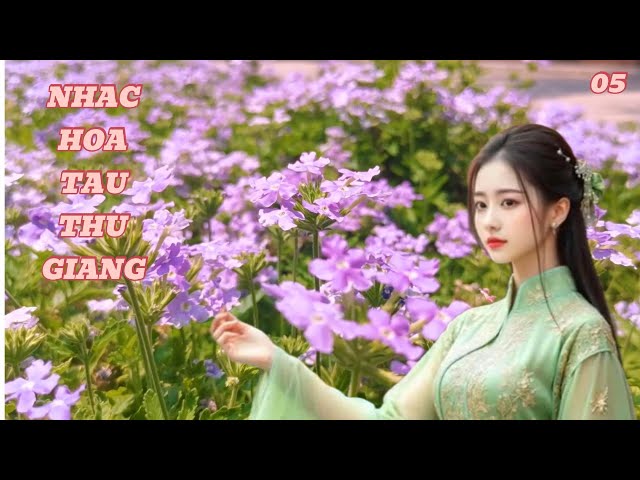 Nhạc Trung Hoa - Thư Giãn Với Sáo Trúc, Đàn Nhị Trung Quốc Hay Nhất| Bộ sưu tập nhạc cụ vol 05