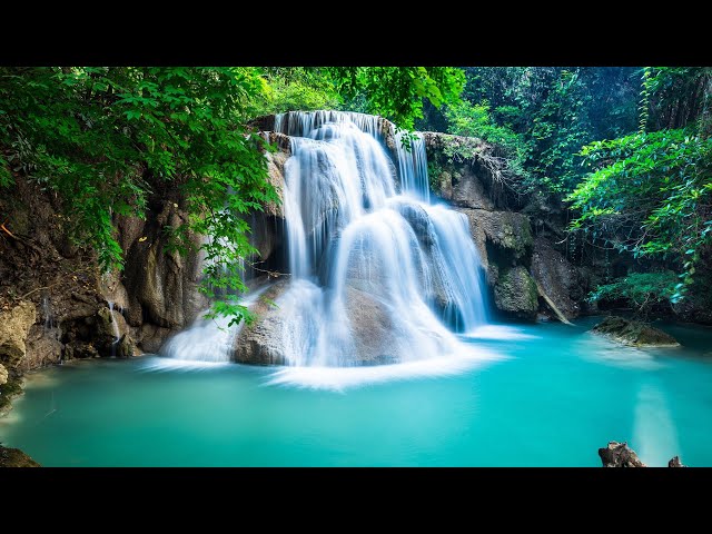 Beautiful Relaxing Music - Stop Overthinking, Stress Relief Music, Sleep Music, Calming Music