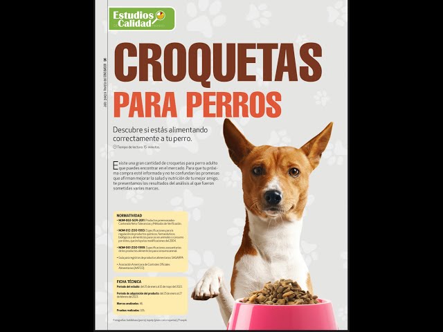 Croquetas para perritos