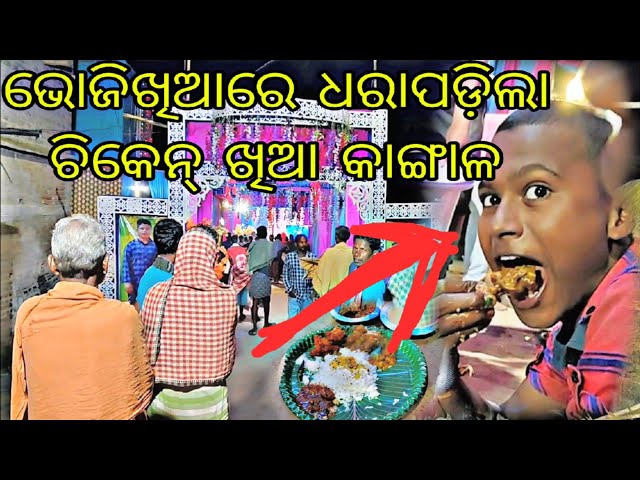 ଭୋଜିଖିଆରେ ଧରାପଡ଼ିଲା ଚିକେନ୍ ଖିଆ କାଙ୍ଗାଳ / chiken kangala