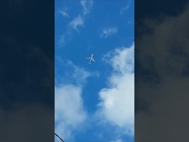 Este 🤫 silencioso y avión parece que vuela en cámara lenta