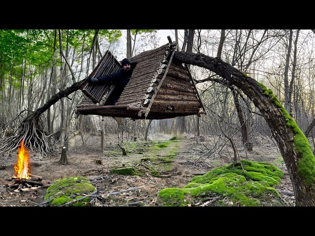 Building a Flying Treehouse Is a Reliable Way to Survive a Wild Boar Den