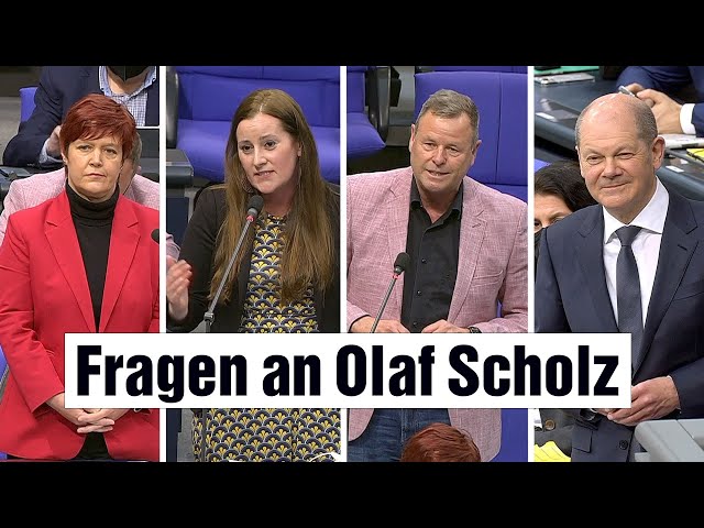 Linksfraktion befragt Kanzler Scholz