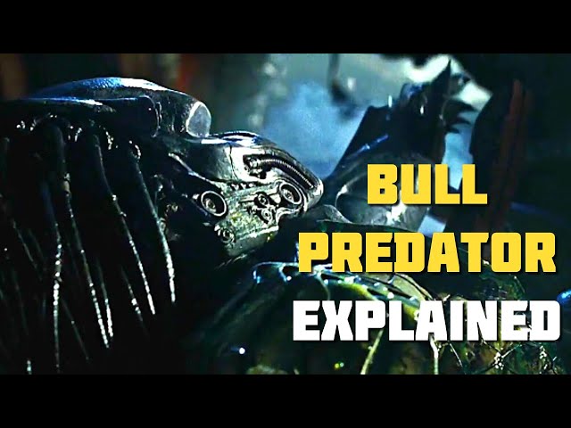 The Bull Predator - Yautja Explained (AVPR)