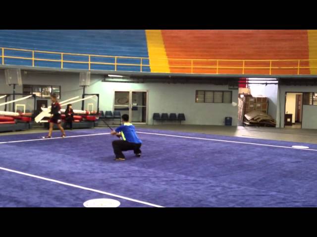 US Wushu Taolu Team Training (Wei Luo)