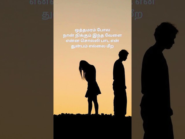 ஆசையில பாத்தி கட்டிநாத்து ஒண்ணுநட்டு வைக்க வா பூவாயி… #love #lovesongs #music #lovesongsbyilayarajaa