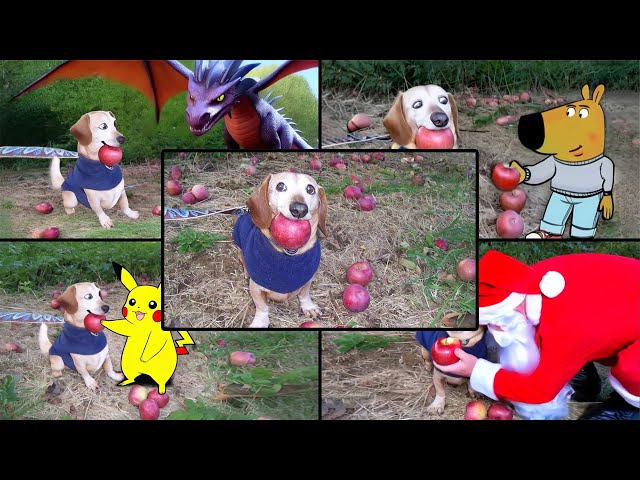 Apple Dog Meme AI Full Compilation / Dog With Apple | Apple Dog Core