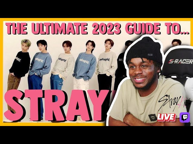 THE ULTIMATE 2023 GUIDE TO STRAY KIDS **LIVE REACTION**