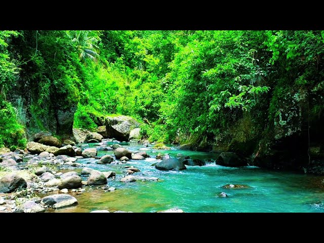 Natural River Sounds Nature Sounds White Noise Water Sounds For Deep Sleep, Stress Relief, Study