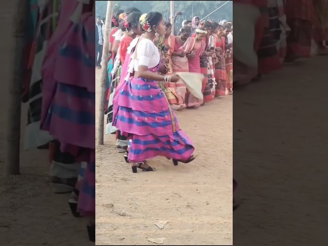 Santali viral traditional song#dance #reels #shorts #viralvideo #santali #santalivideo #trending 🌹🤪🤪