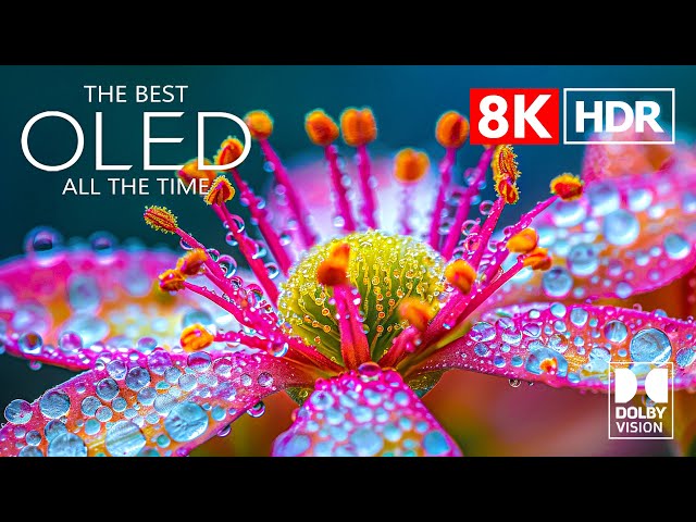 The Best Dolby Vision HDR 8K Video ULTRA HD (120 FPS)