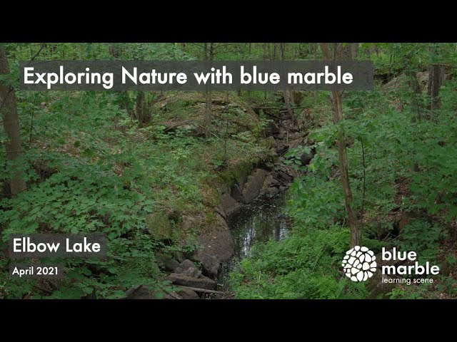 exploring nature | elbow lake