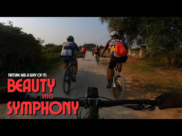 BEAUTY INTO SYMPHONY