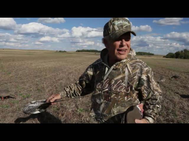 Hired to Hunt Season 2 #2 - Duck Hunting and Goose Hunting.  Limit hunts in Alberta