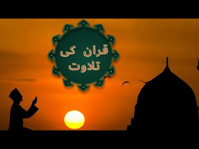 Best Recitation Of Holly Quran, Dil Ka Sakoon Quran.