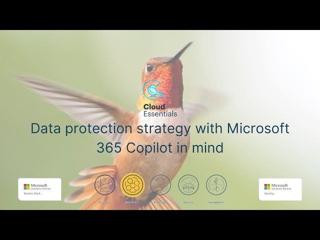 Data protection strategy with Microsoft 365 Copilot in mind