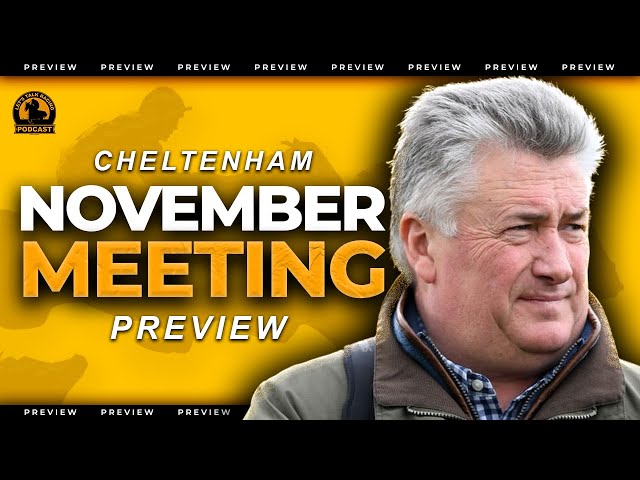 Cheltenham November Meeting Preview 2024 | ft. Best Bets | Horse Racing Tips