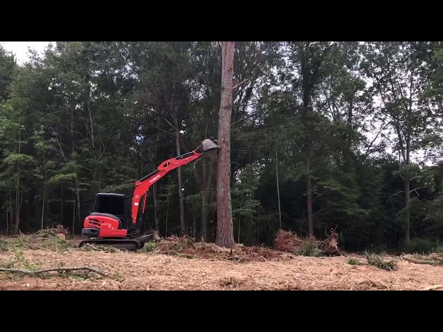 Kubota kx57 pushing over pine tree.