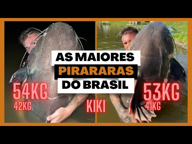 AS MAIORES PIRARARAS DO BRASIL MORAM NESSE LUGAR/ PESCARIA DOS SONHOS/ SÓ GIGANTE