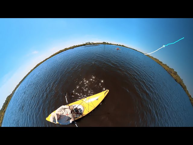 Paddle Manatee - Colony Cove to Ft Hamer - 2024-04-17 - 05/10