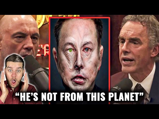 WATCH CAREFULLY: Jordan Peterson Is Revealing Something About Elon Musk!