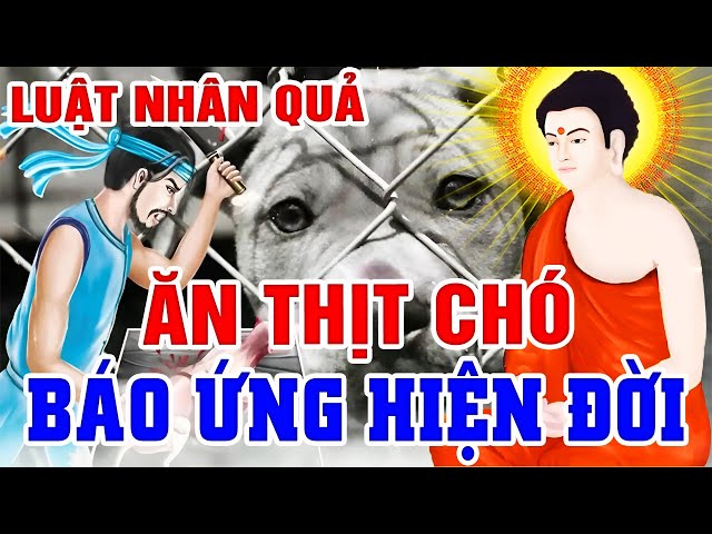 Chuyện Nhân Quả Hay 2024, ĂN THỊT CHÓ...Báo Ứng Hiện Đời | Quả Báo Sát Sinh Nghe Để Tránh _ Khiếp Sợ