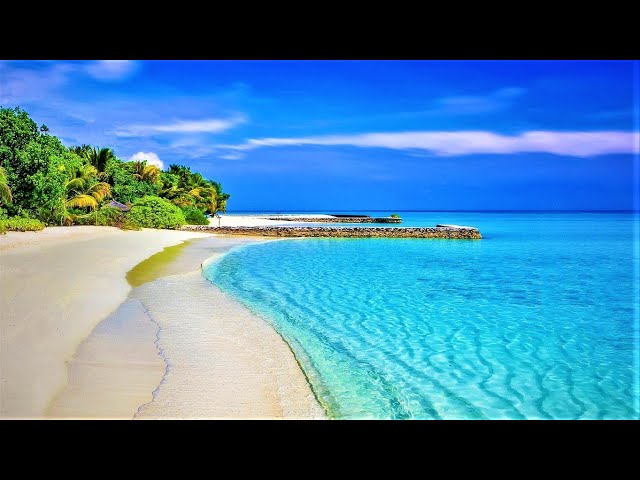 Holiday relaxation music - Calm music with the sound of the sea - Holidays by the sea