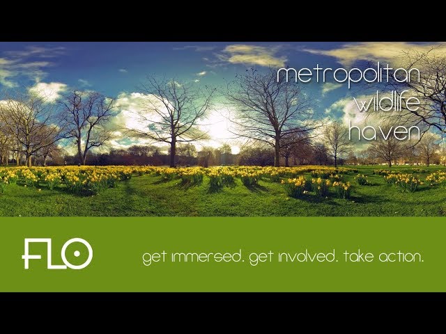 FLO 005: Metropolitan Wildlife Haven