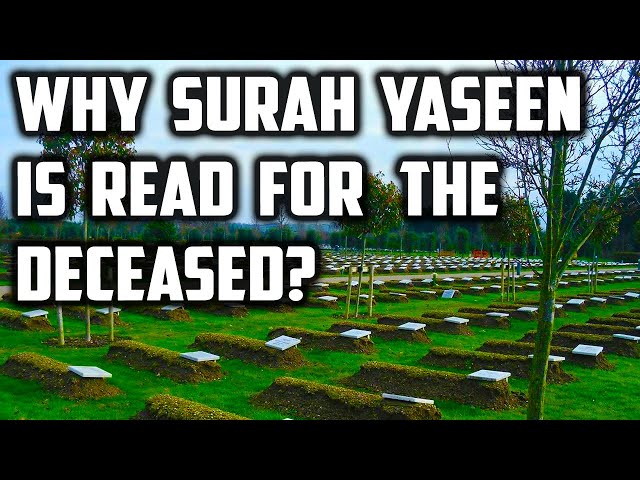 Why Do We Recite Surah 36 Ya Seen 3 Times Looped for The Deceased? | Sufi Meditation Center