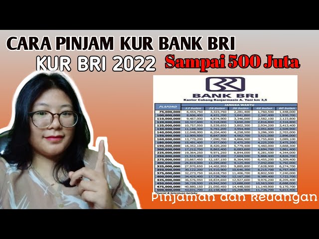 HOW TO APPLY FOR A 2022 BRI KUR LOAN AND THE BENEFITS