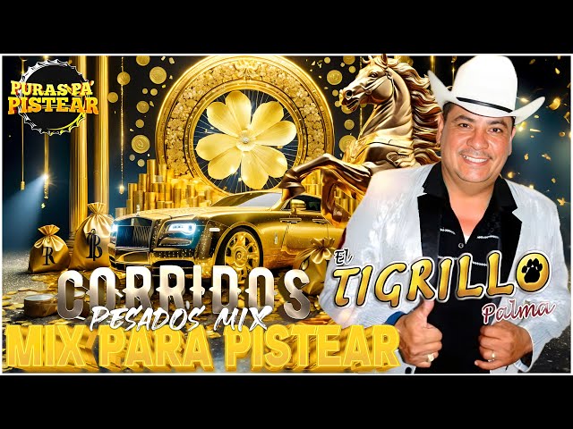 [ El Tigrillo Palma De Oro🤠🔥 ]Éxitos de Oro Para Pistear✅ | 30 Exitos Corridos Pesados Mix New 242