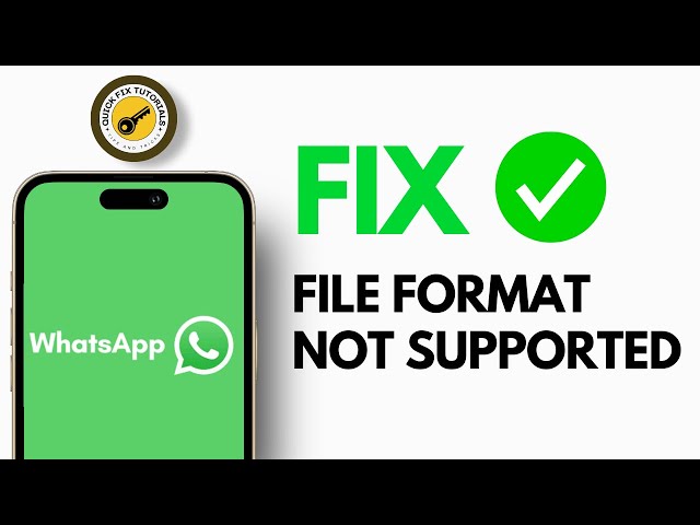 Fix WhatsApp File Format Is Not Supported | WhatsApp Status File Not Supported Problem (2024)