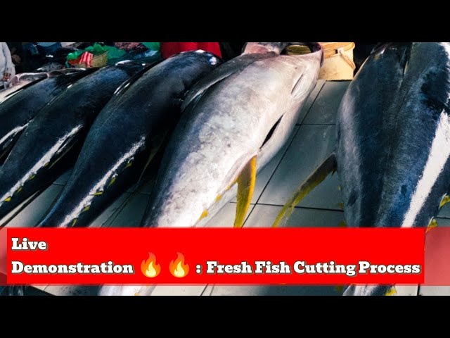 Live Demonstration 🔥🔥 : Fresh Fish Cutting Process