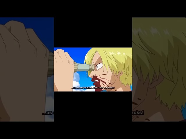 No Roots - Onepiece Members | Onepiece Members Funny Moments| #shorts #onepiece #funny #luffy #zoro