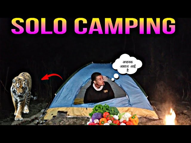 Solo camping || camping 🏕️ in india|| camping video|| #solocampinginforest #camping