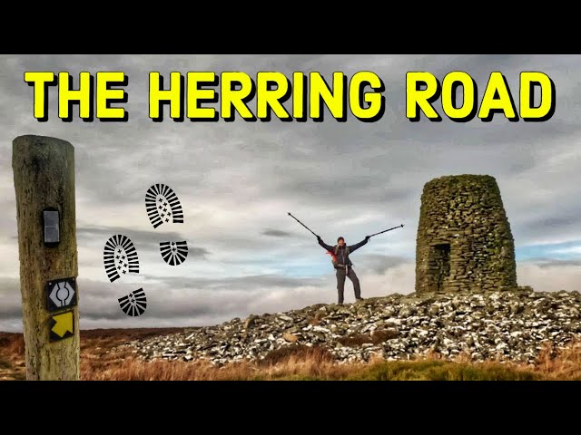 Hiking the Historic Herring Road: Backpacking 30 Miles Over 2 Days!