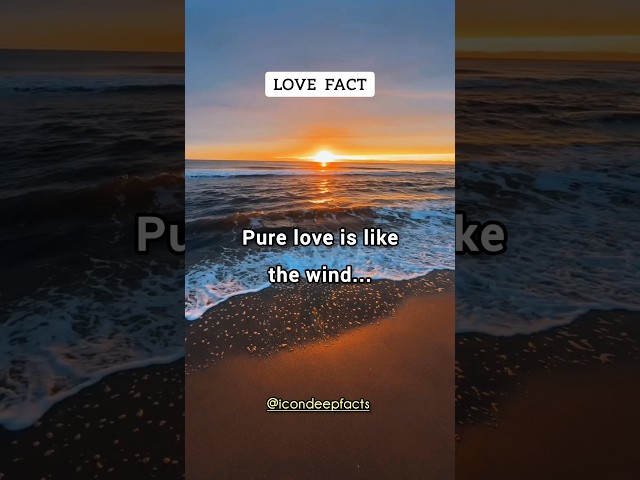 Pure love is like the wind... #lovefacts #facts #shorts