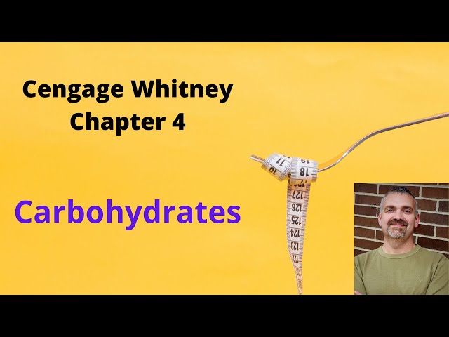 Cengage Whitney Nutrition Chapter 4 Lecture Video (Carbohydrates)