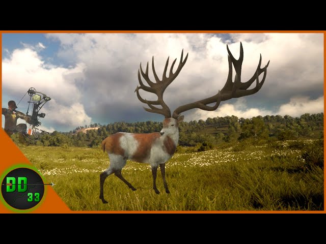 The MOST INCREDIBLE RARE I've EVER SEEN!!! Call Of The Wild