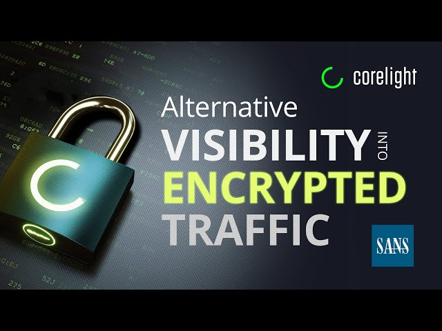 Alternative Network Visibility Strategies for an Encrypted World