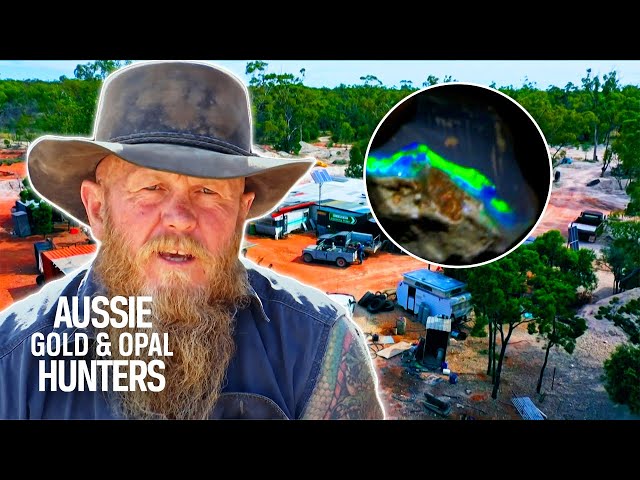 The Bushmen Spend $8K On A Claim Which Treasures Rough Black Seam Opal | Outback Opal Hunters