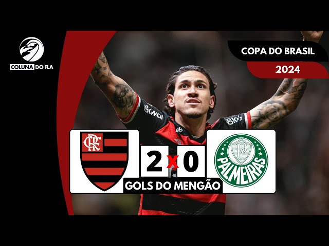 FLAMENGO 2X0 PALMEIRAS - GOLS DA PARTIDA - NARRAÇÃO RAFA PENIDO | COPA DO BRASIL 2024