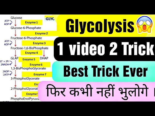 Glycolysis cycle short trick in hindi / glycolysis mnemonic in hindi