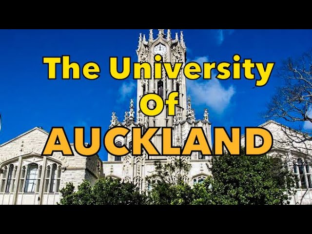 Driving Around The University of Auckland | New Zealand 🇳🇿