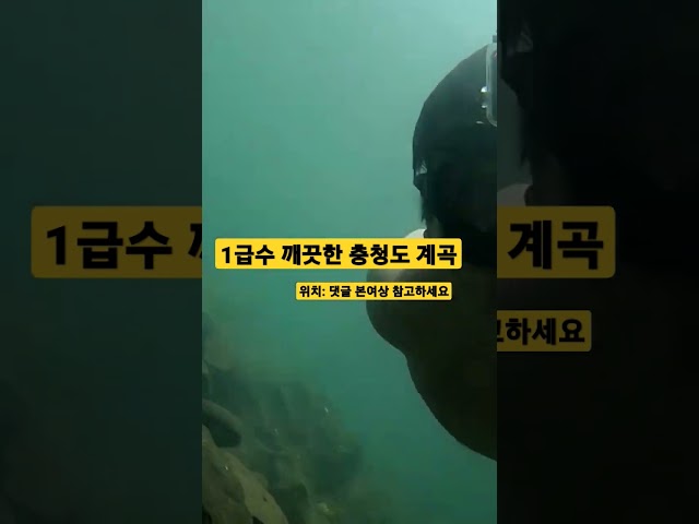 1급수 정말 깨끗한 충청도계곡 #shorts