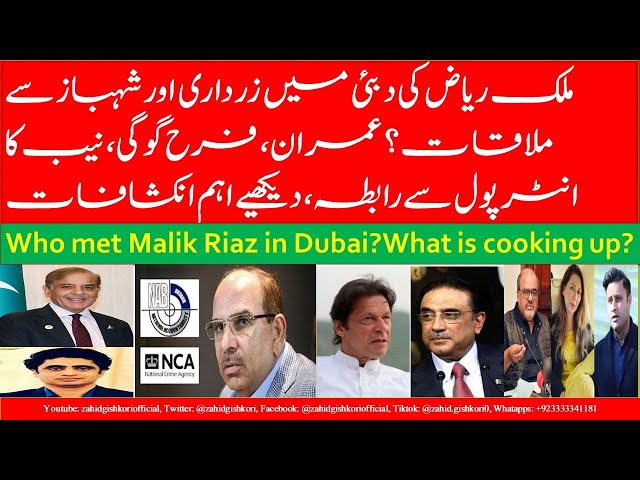 Malik Riaz met Zardari & PM Sharif in UAE? | What is cooking up against Imran Khan in Dubai?