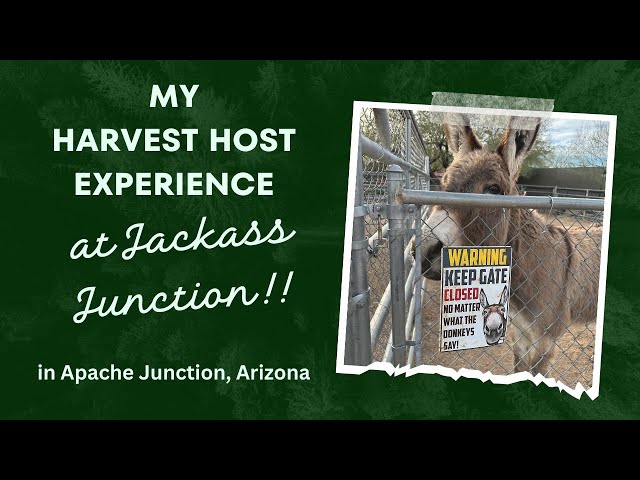 Harvest Host Experience at Jackass Junction in Apache Junction, Arizona