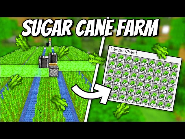 Sugar Cane Farm - 2000+ Per Hour - Minecraft 1.21+ Tutorial